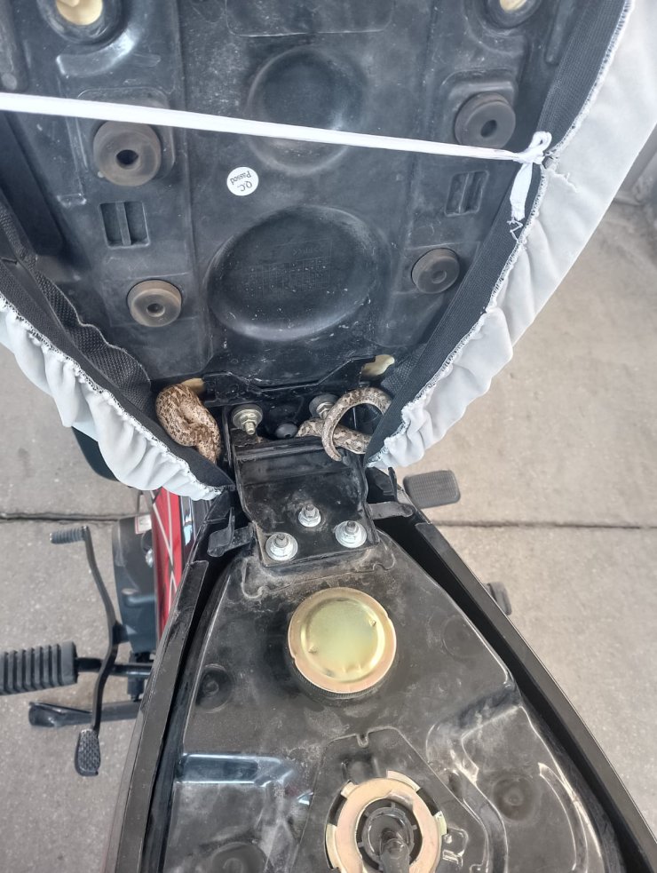 Yakıt Almak İçin Getirilen Motosikletin Selesinin Altından Yılan Çıktı