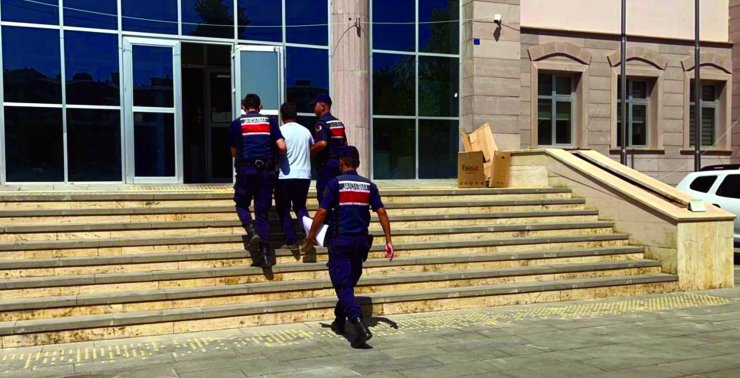 50 Hektar Ormanın Yandığı Yangın, Çay Ateşinden Çıkmış