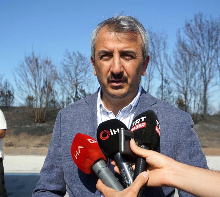 Anız Yangını Dumanının Kapladığı Tem'de Zircirleme Kaza: 1 Ölü, 36 Yaralı(2)