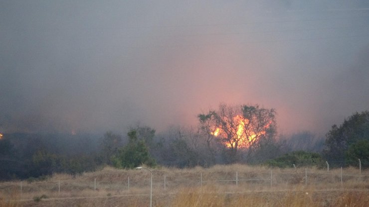 Çanakkale’de Maki Yangını Ormana Sıçradı (2)