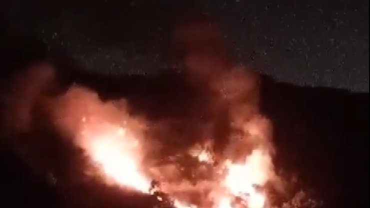 Pendik'te Orman Yangını-1