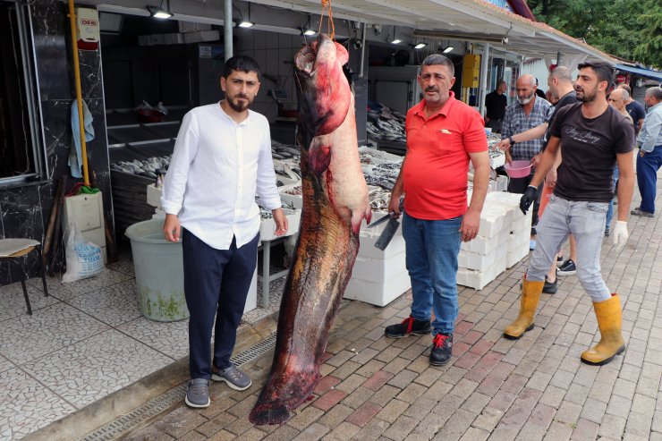 Samsun'da Ağa Takılan 2,5 Metrelik Yayın Balığı, Kilosu 120 Tl'den Satışta