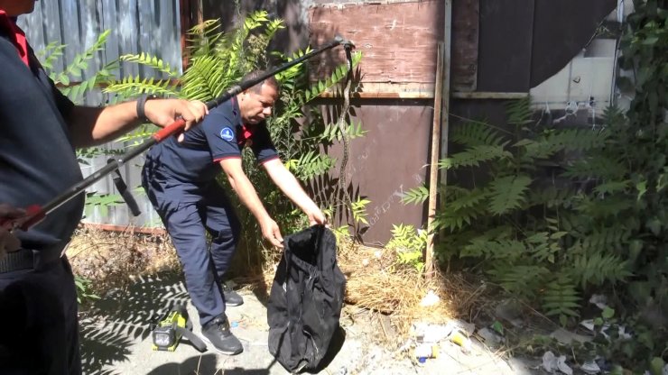 Avcılar'da Binanın Bahçesindeki Yılanı İtfaiye Ekipleri Yakaladı