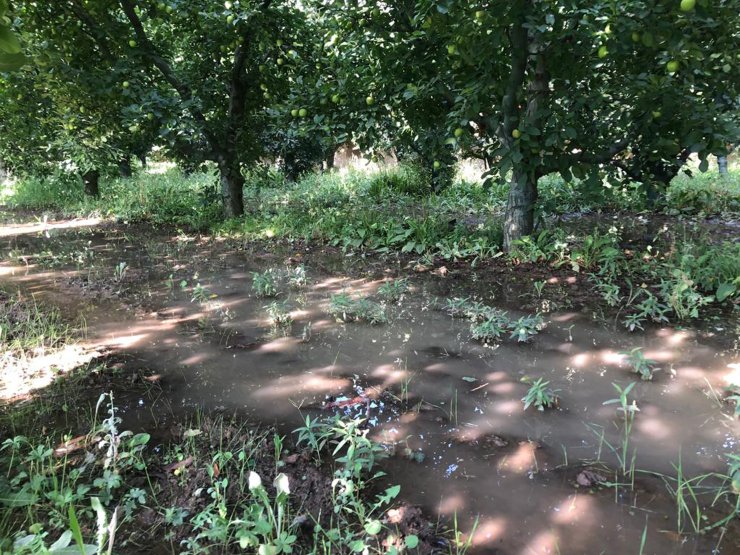 Kritik Seviye Altına İnen Gölden 'Vahşi Sulama' Devam Ediyor