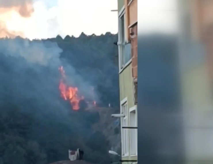 Sarıyer'de Ormanlık Alandaki Yangın Helikopterle Söndürüldü