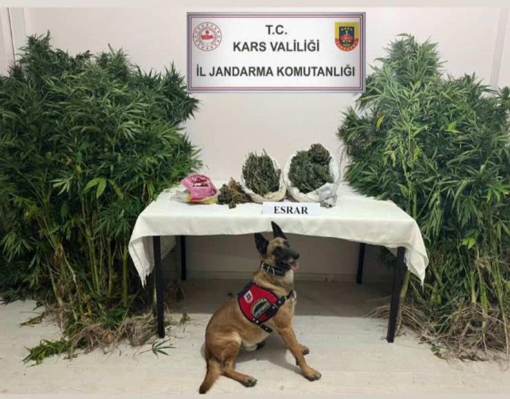 Valizde Ve Yatağın İçindeki 2 Kilo Esrarı Narkotik Köpeği 'Termal' Buldu