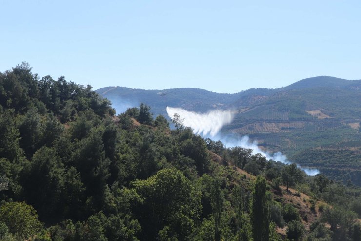 Manisa'da Orman Yangını (2)