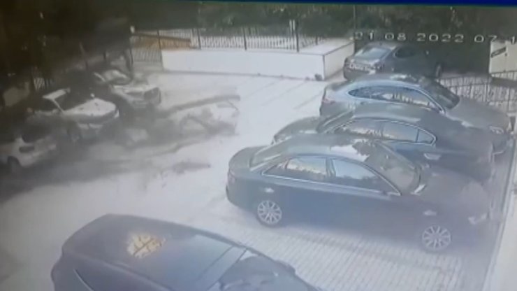 Kadıköy'de Aracın Üstüne Devrilen Ağaç 51 Daireyi İcralık Etti