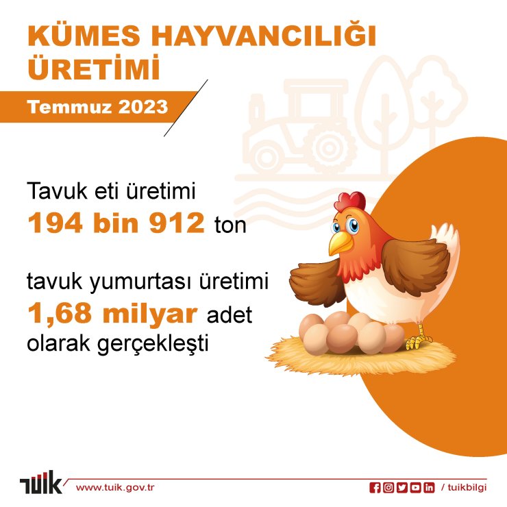 Tüik: Yumurta Ve Tavuk Eti Üretimi Arttı, İçme Sütü Üretimi Azaldı