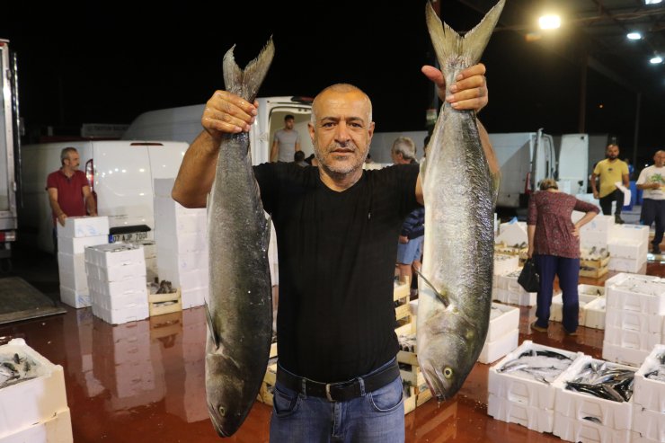 Antalya Halinde Balık, Tavuk Ve Kırmızı Etten Ucuz