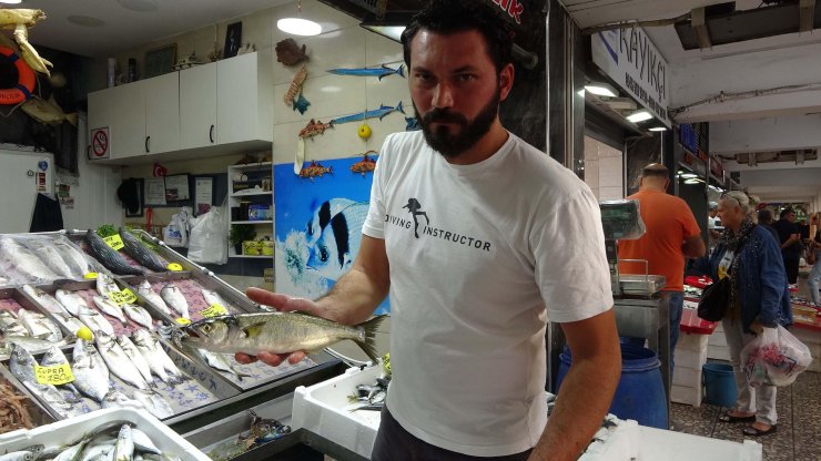 Çanakkale'de 'Denizin Prensi' Lüfer, Kilosu 600 Tl’den Tezgahtaki Yerini Aldı