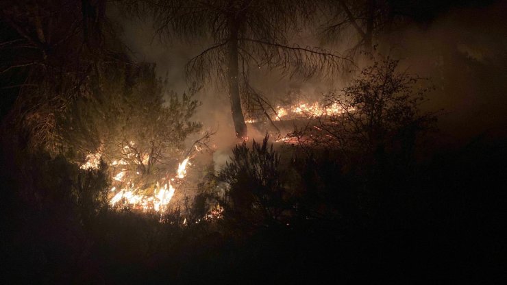 Çekmeköy’de Orman Yangını