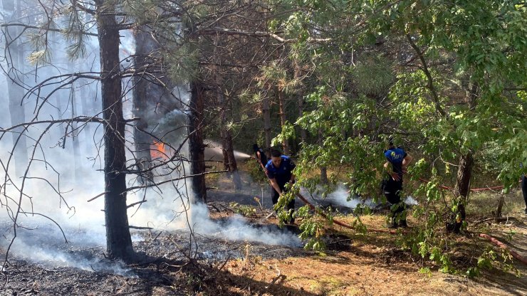 Çerkezköy'de Orman Yangını (2)