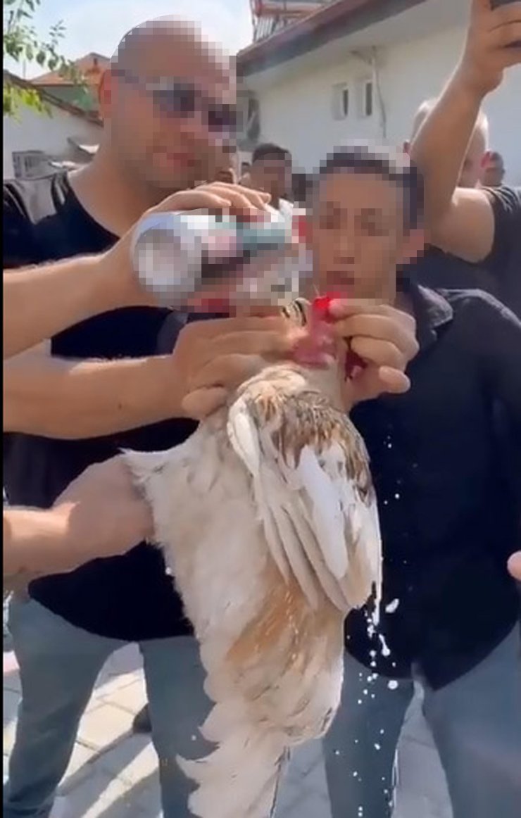 Düğünde Horoza İçki İçiren 5 Kişiye Para Cezası