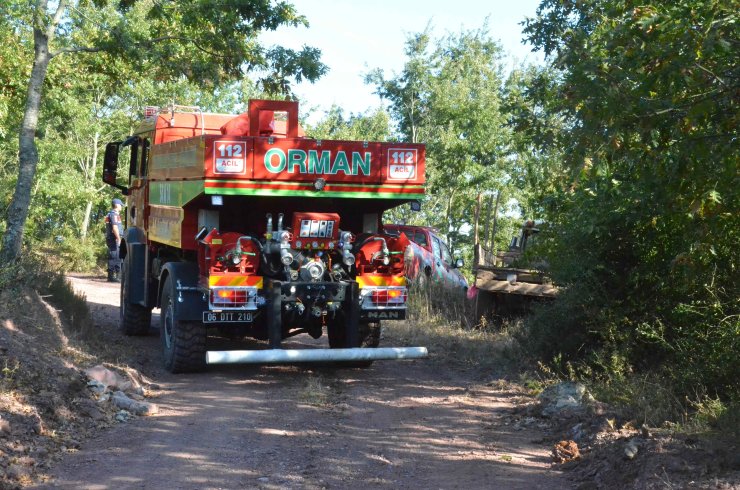 Sakarya'daki Orman Yangını Söndürüldü