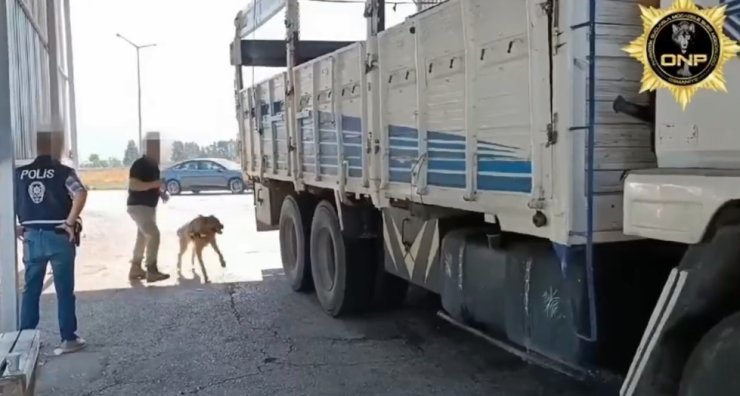 Bakan Yerlikaya: 8 İlde Düzenlenen Operasyonlarda 42 Zehir Taciri Yakalandı
