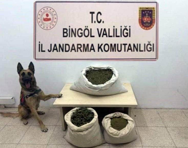 Bingöl'de Arazi Aramasında 55 Kilo Esrar, 10 Bin Kök Kenevir Ele Geçirildi