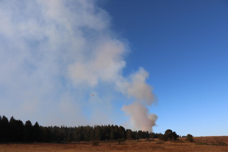 Bolu'da Orman Yangını (3)