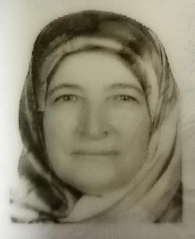 Bursa'da, Arının Soktuğu Kadın Öldü