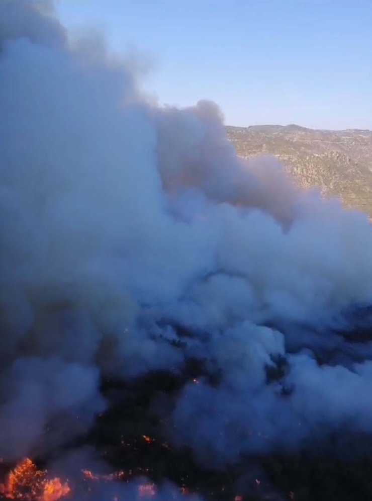 İzmir Menderes'te Orman Yangını