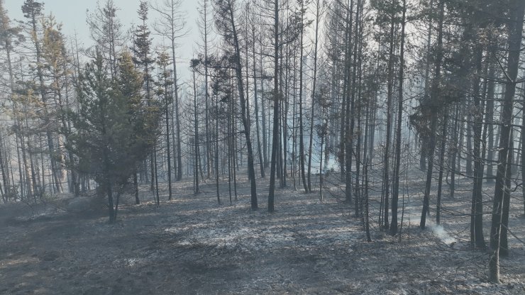 Bolu'daki Orman Yangını 22,5 Saatte Kontrol Altında