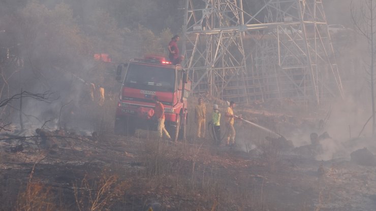 Bursa'da Orman Yangını (2)