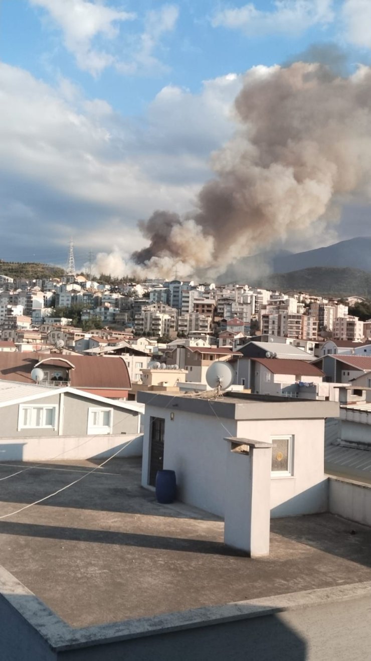 Bursa'da Orman Yangını