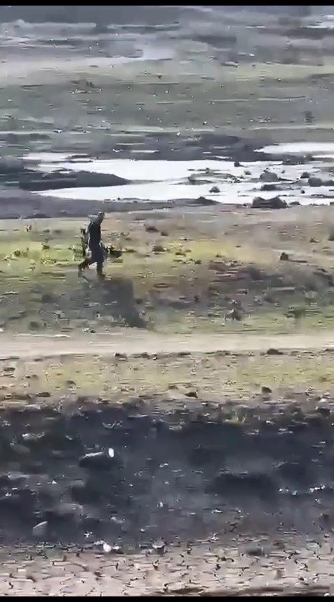 Sazlıdere Barajı'nda Göç Yolundaki Leylekleri Silahla Vurdular