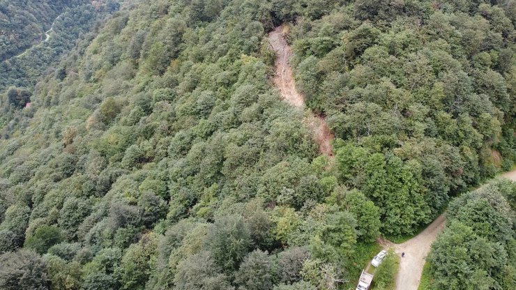 Define İçin Ormana İş Makinesiyle Yol Açtılar