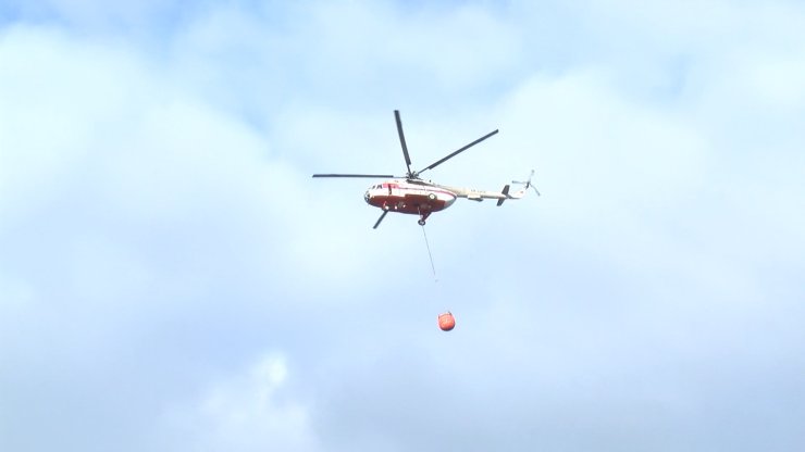 Sultanbeyli Aydos Ormanı'nda Yangın