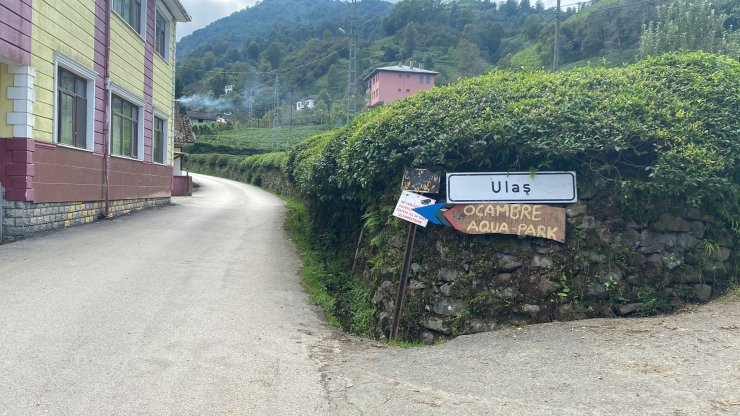 Artvin'de Sahibini Isıran Köpek Kuduz Çıktı; 3 Köye Karantina (2)