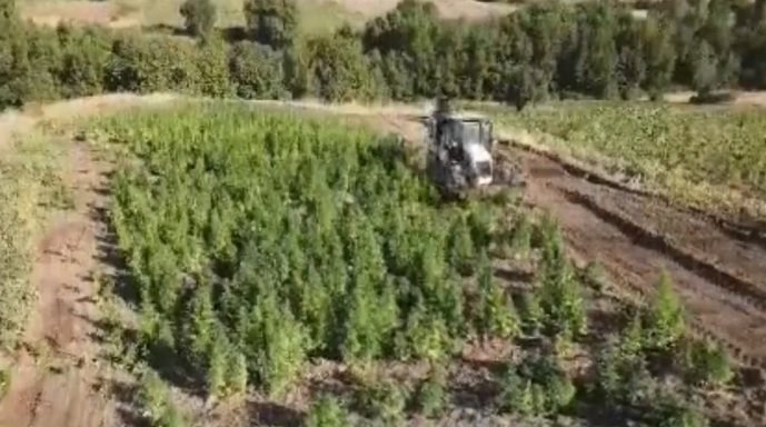 Bakan Yerlikaya: Diyarbakır'da 2 Ton 120 Kilo Esrar İle 13 Milyon 514 Bin 550 Kök Kenevir Ele Geçirildi