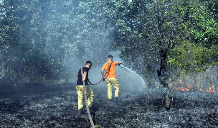 Edirne'de Orman Yangını
