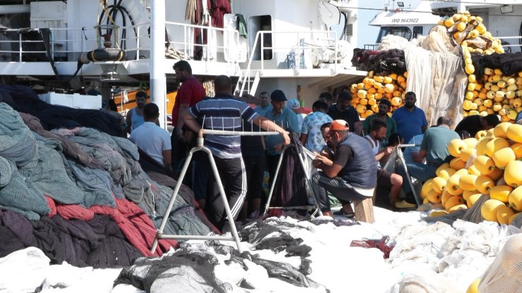 Haldeki Hamsi Tartışması Sürüyor