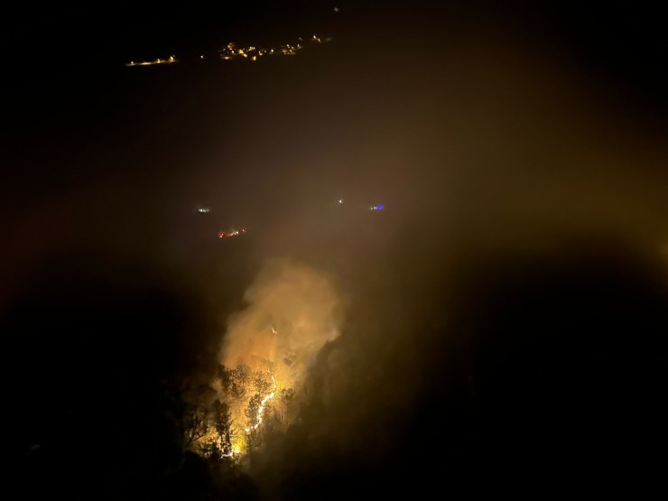 Karabük'te Orman Yangını (2)