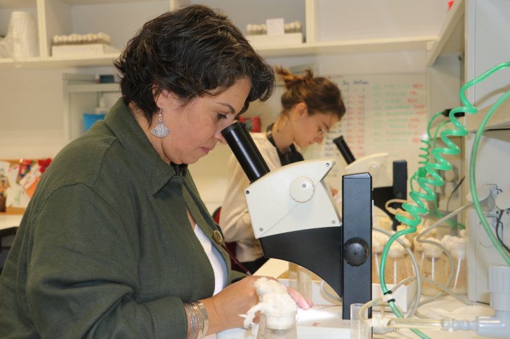 Risk Altındaki Canlıları İklim Değişikliğinden Koruyacak Proje