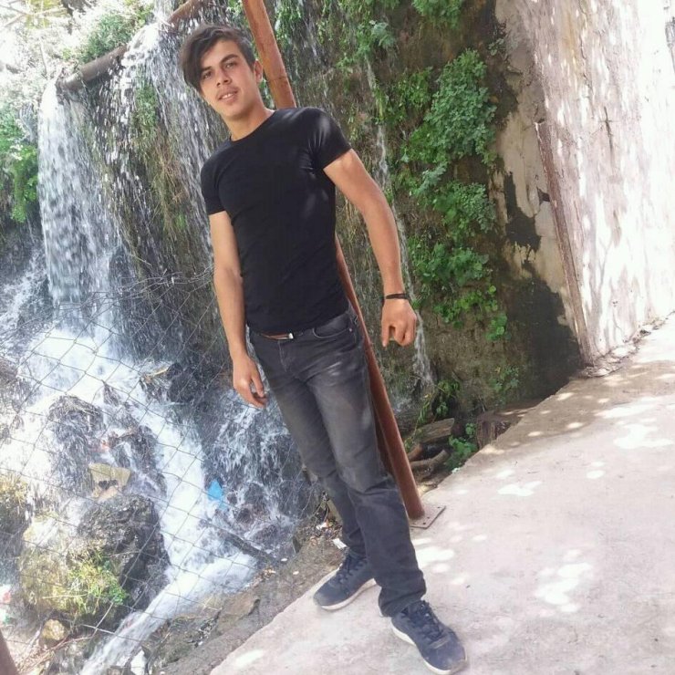 Ayının Saldırdığı Çoban, Köpekleri Sayesinde Kurtuldu