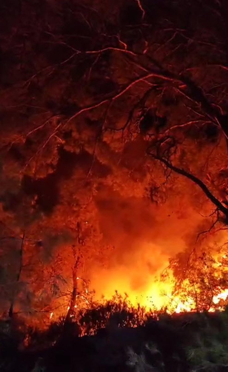 Düşen Helikopterdeki 3 Kişinin Öldüğü Menderes'teki Orman Yangınında 260 Hektar Alan Etkilendi