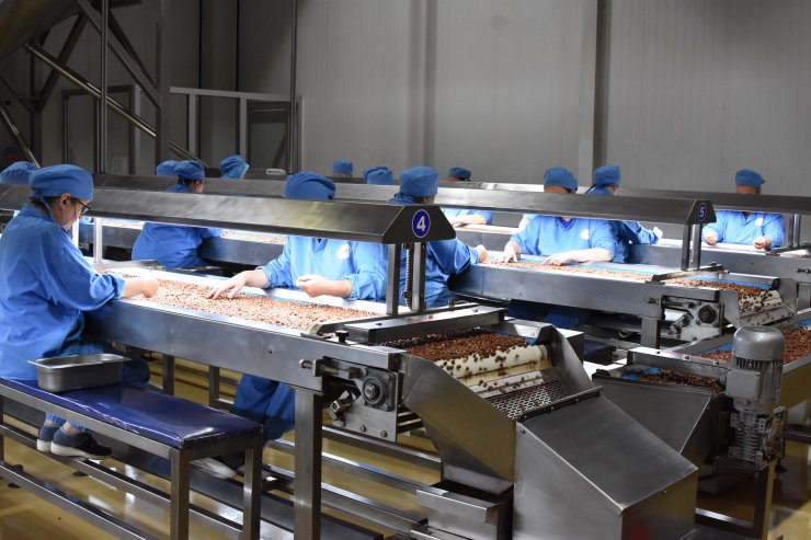 Fındıkta İhracat Hedefi 280 Bin Ton