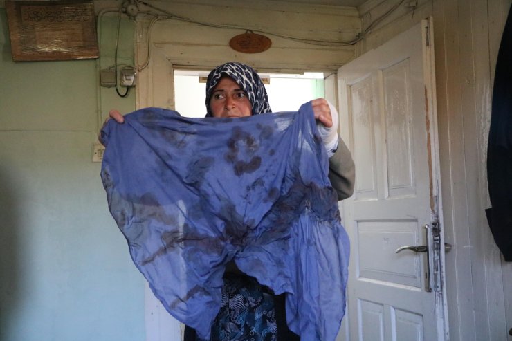 Köyde Hayvanları Otlatma Kavgasında Darbedildi