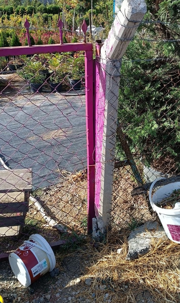 Kuşburnu Toplamak İçin Evden Çıktı, Bir Gün Sonra Tel Örgülere Takılı, Yaralı Bulundu