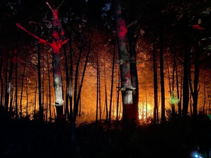 Çekmeköy’de Orman Yangını