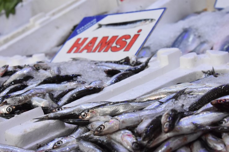 İstanbul'da Balıkçıların Anlaşması, Ordu'da Hamsi Fiyatlarını Düşürdü