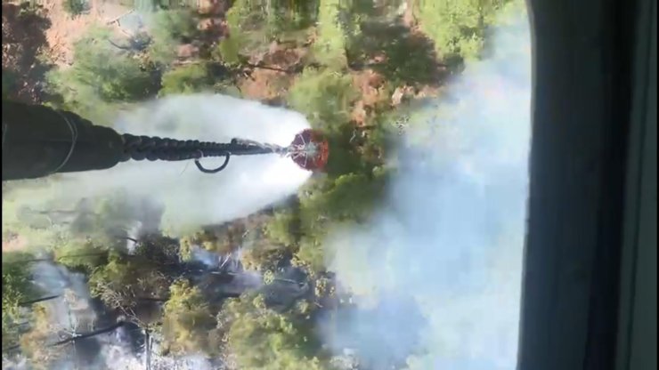 Kütahya’da Orman Yangını