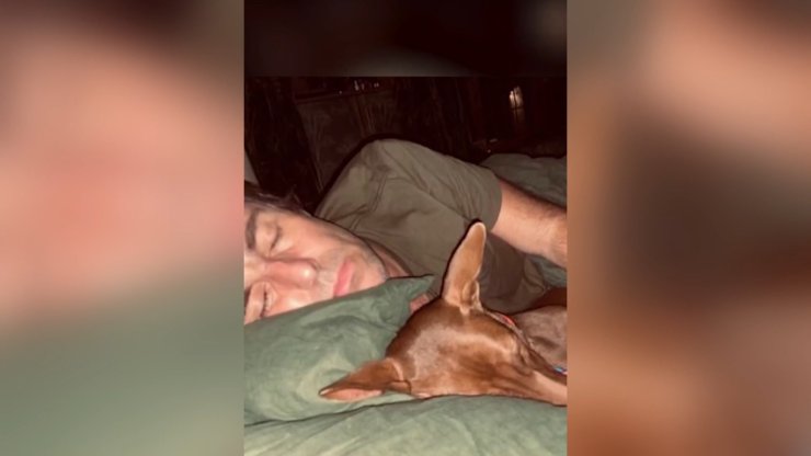 Tayland’daki Sokak Köpeğinin Başına Talih Kuşu Kondu