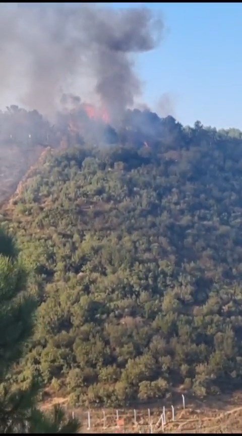 Sultangazi'de Orman Yangını - 1