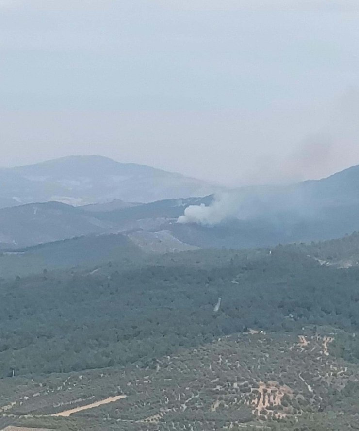 Manisa'da Orman Yangını