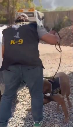 Minibüste 12 Kilo 260 Gram Eroin Ele Geçirildi