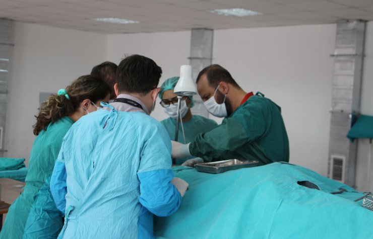 Bilim İçin 'Kadavra Gönüllüsü' Aranıyor