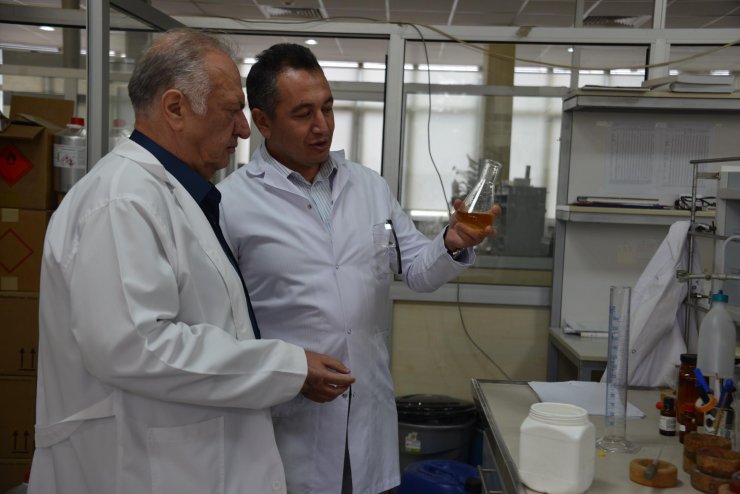 Yanık, Diyabetik Ve Darp Yaralarını İyileştiren Bitkisel Krem Geliştirdiler